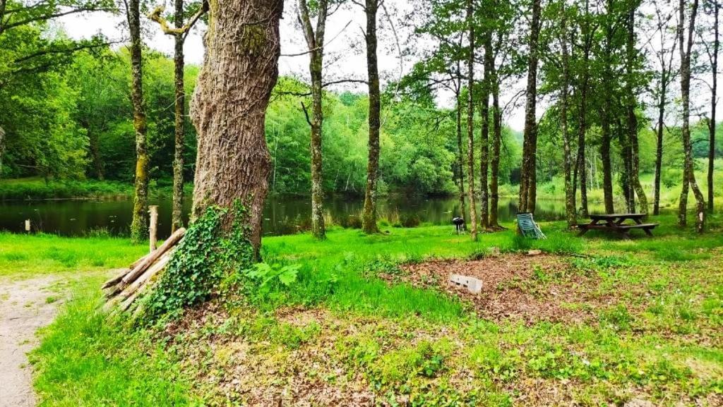 Cap Nature - T3 Et T4 En Perigord Vert - Ideal Pros Et Groupes Max 18P Champniers-et-Reilhac Kültér fotó